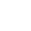 Quit Icon