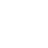 Quit Icon